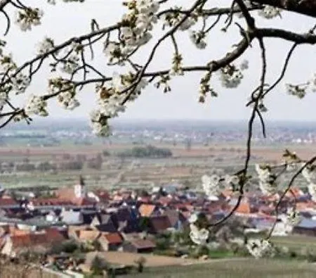 Gaestehaus Hassler Landsted Endingen am Kaiserstuhl