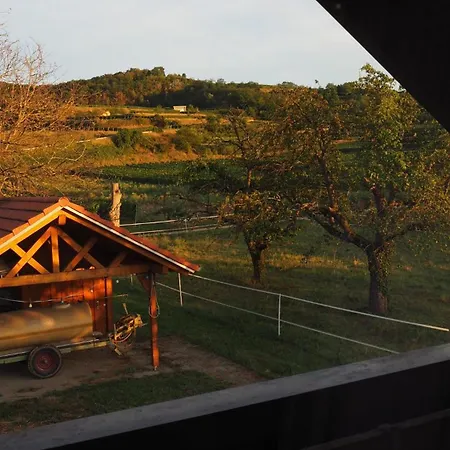 Εξοχικό σπίτι Gaestehaus Hassler *