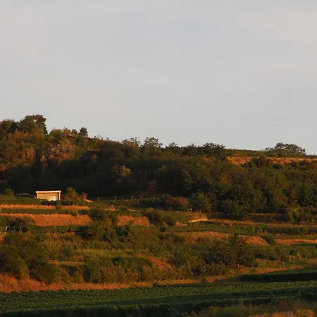 Gaestehaus Hassler Εξοχικό σπίτι